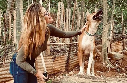 Der Nomads Podcast: Covid-19 Travel News, 20. Mai